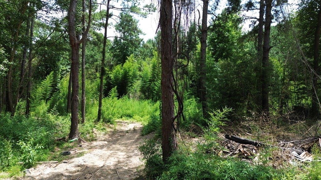 25.29 acres in Texas County - photo 7
