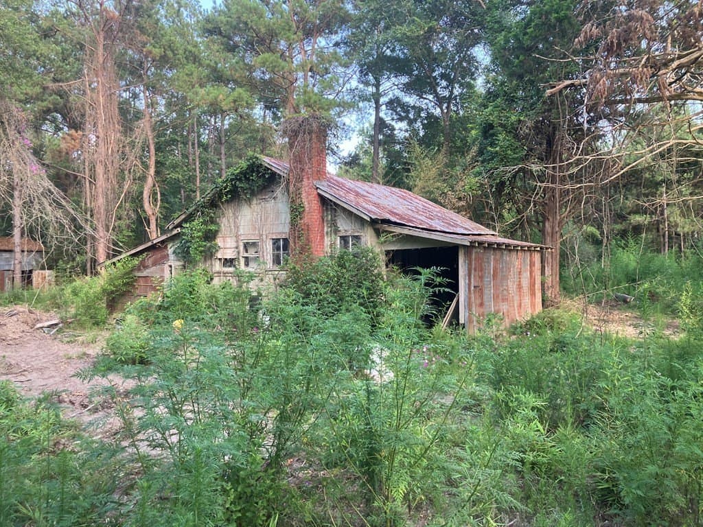 25.29 acres in Texas County gallery image 2