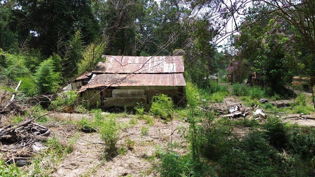 25.29 acres in Texas County featured view