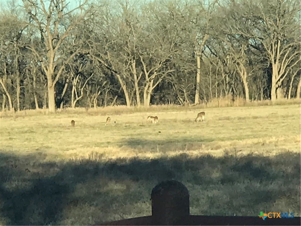 38.69 acres in Caldwell County gallery image 3