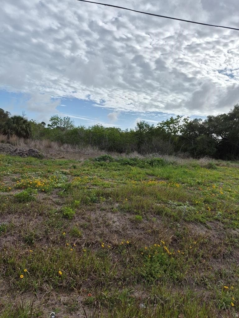 0.44 acres in Texas County