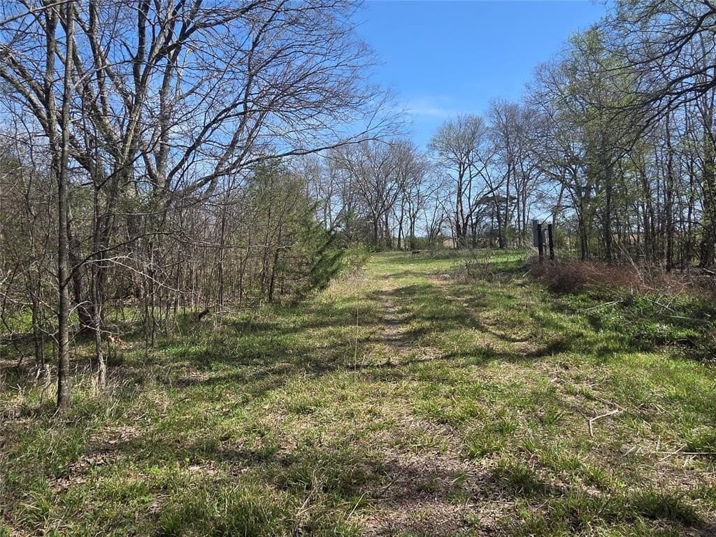 2.14 acres in Fannin County gallery image 4
