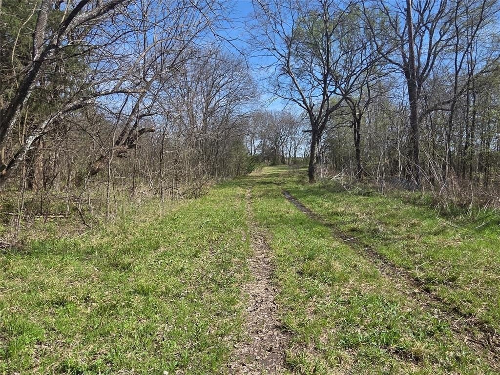 2.14 acres in Fannin County gallery image 3