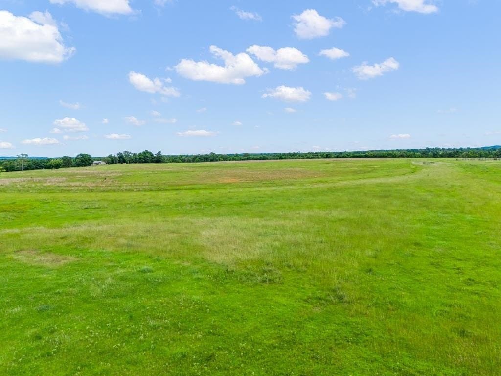 30 acres in Upshur County gallery image 2