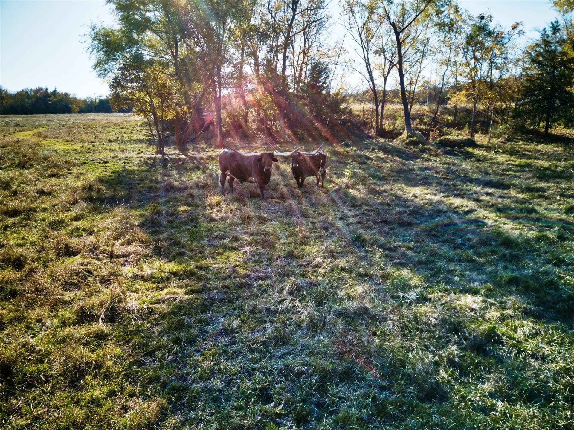 17.2 acres in Fannin County - photo 20