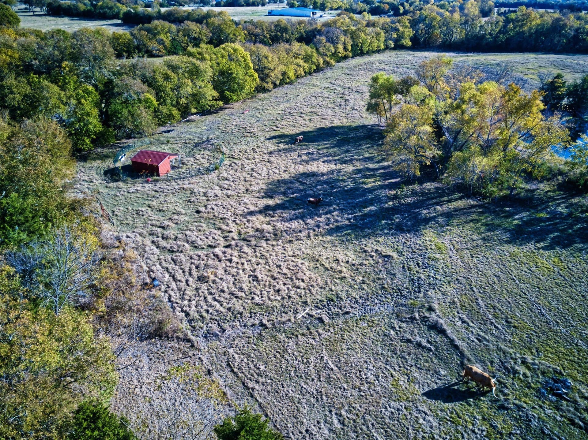17.2 acres in Fannin County - photo 21