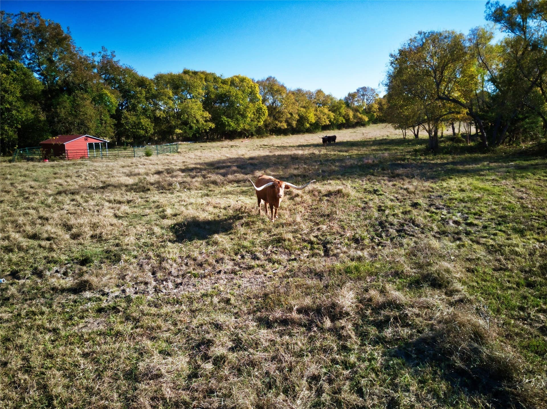 17.2 acres in Fannin County - photo 19