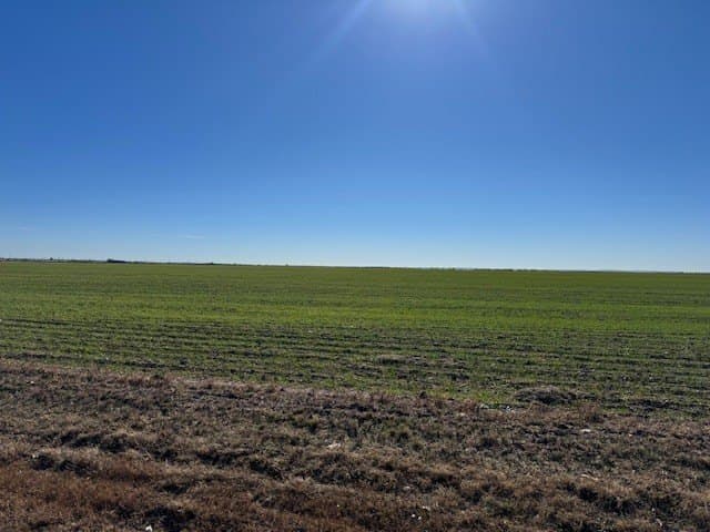 69.13 acres in Taylor County gallery image 2