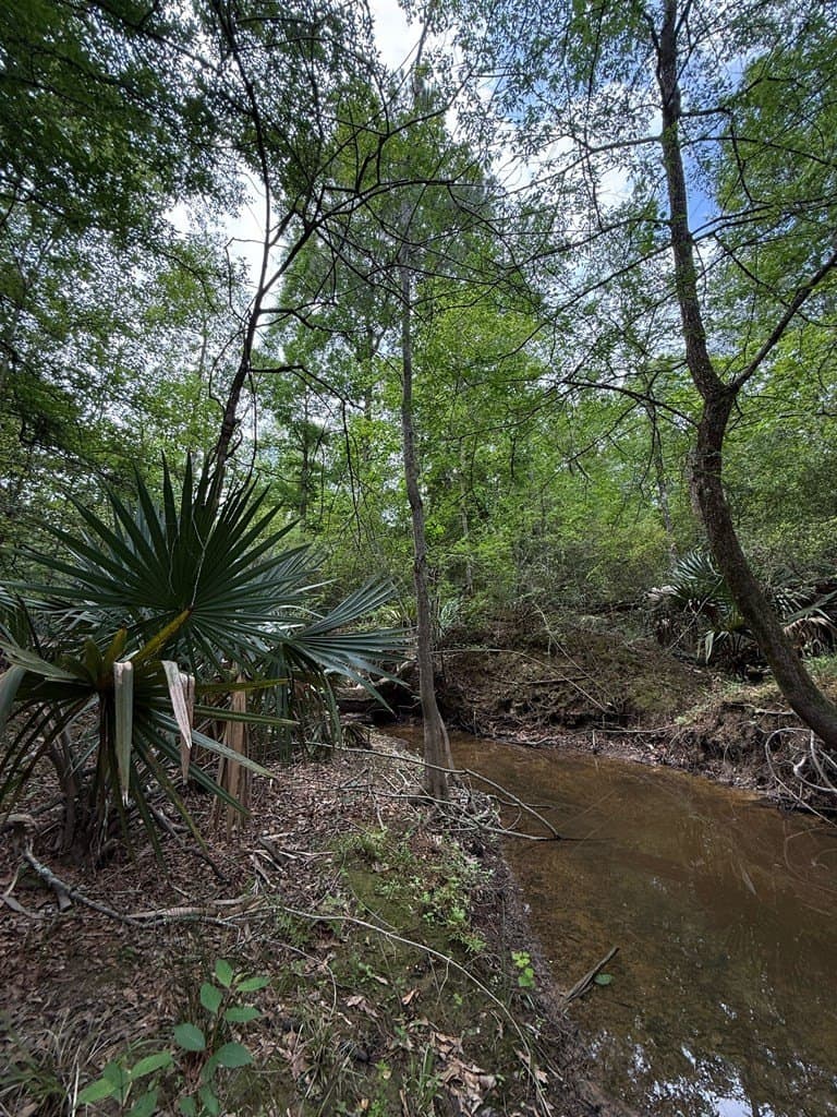 250 acres in Texas County - photo 11