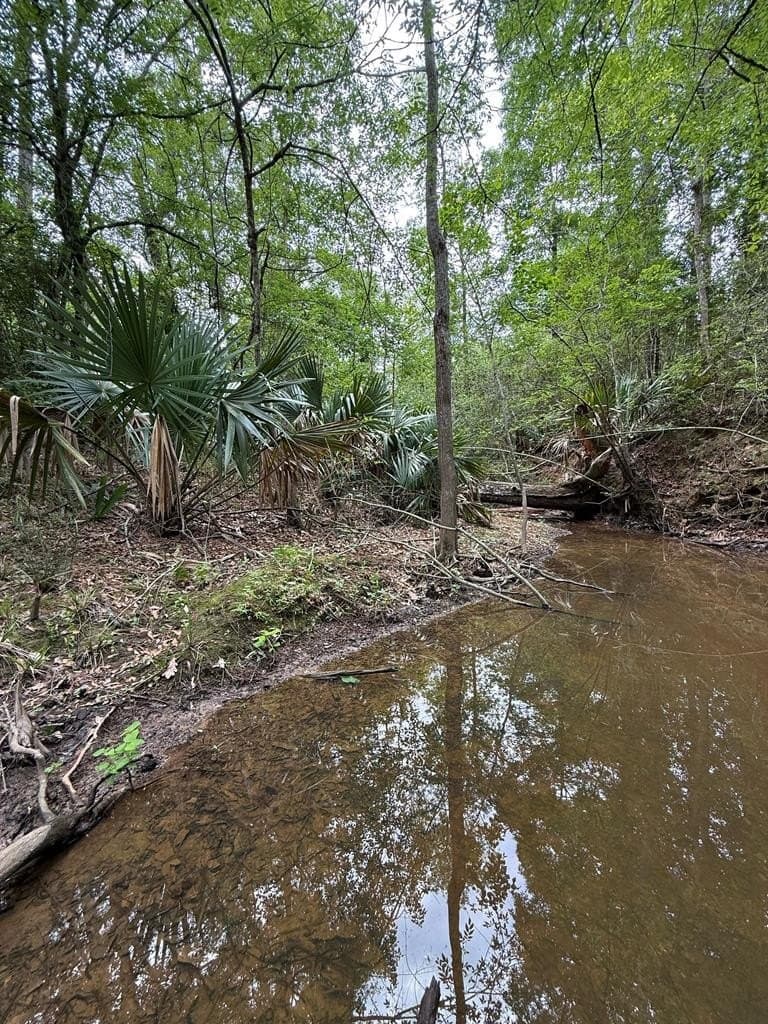 250 acres in Texas County