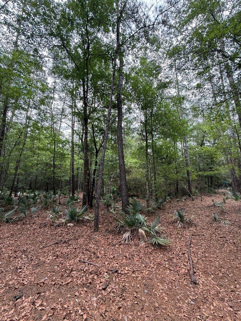 250 acres in Texas County - photo 8