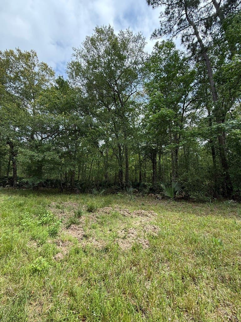 250 acres in Texas County gallery image 3
