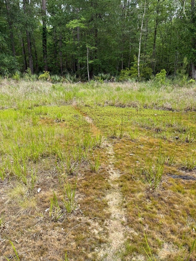 250 acres in Texas County - photo 10