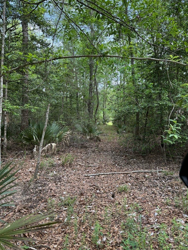250 acres in Texas County featured view