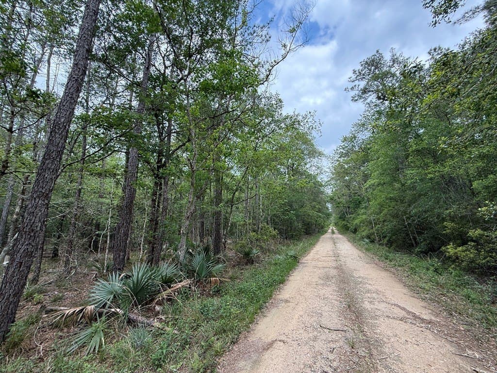 250 acres in Texas County gallery image 2
