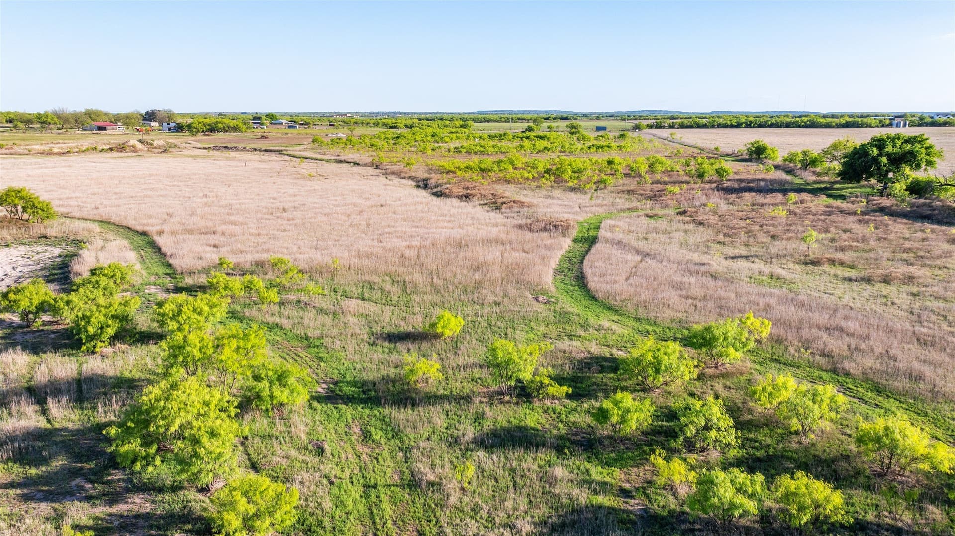 27 acres in Callahan County - photo 9