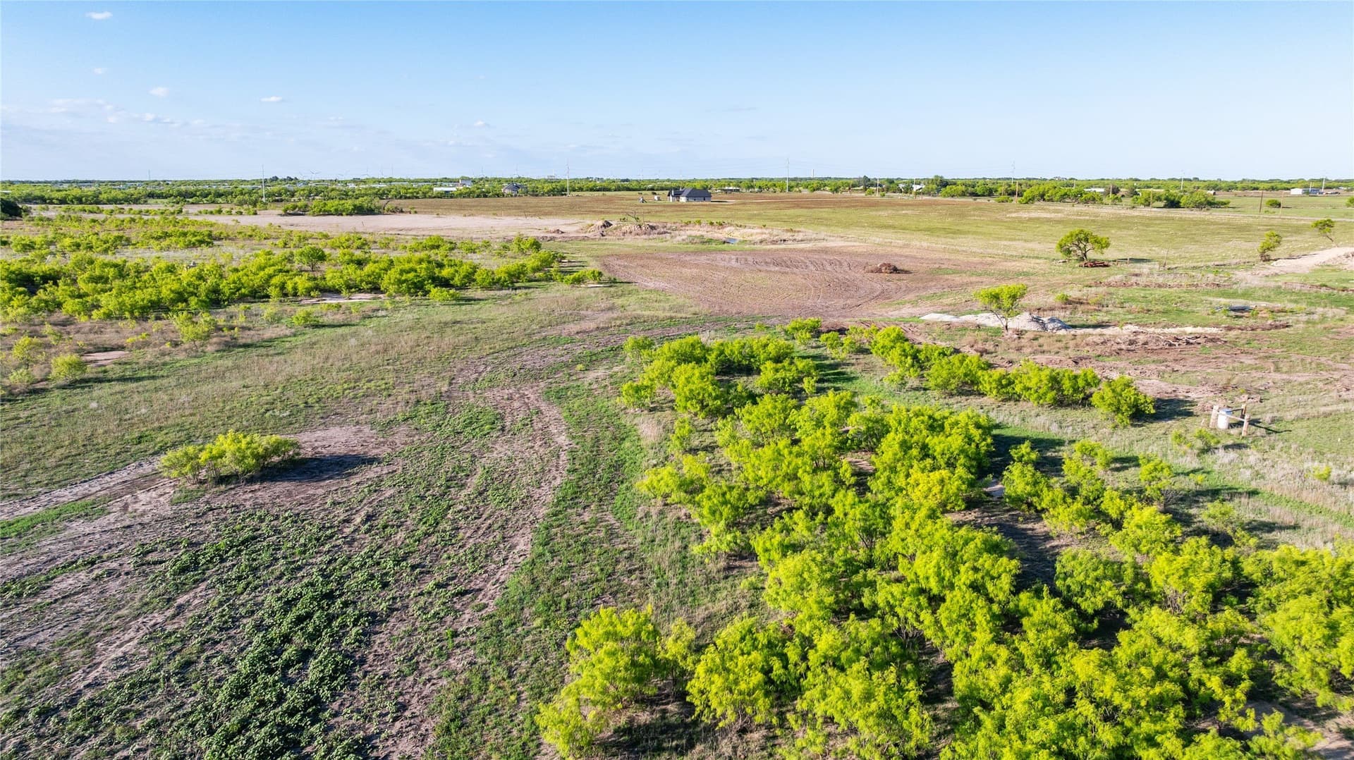 27 acres in Callahan County - photo 13