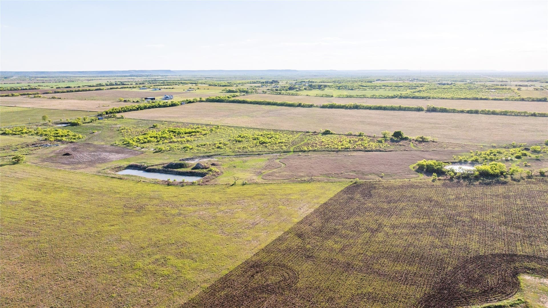 27 acres in Callahan County gallery image 3