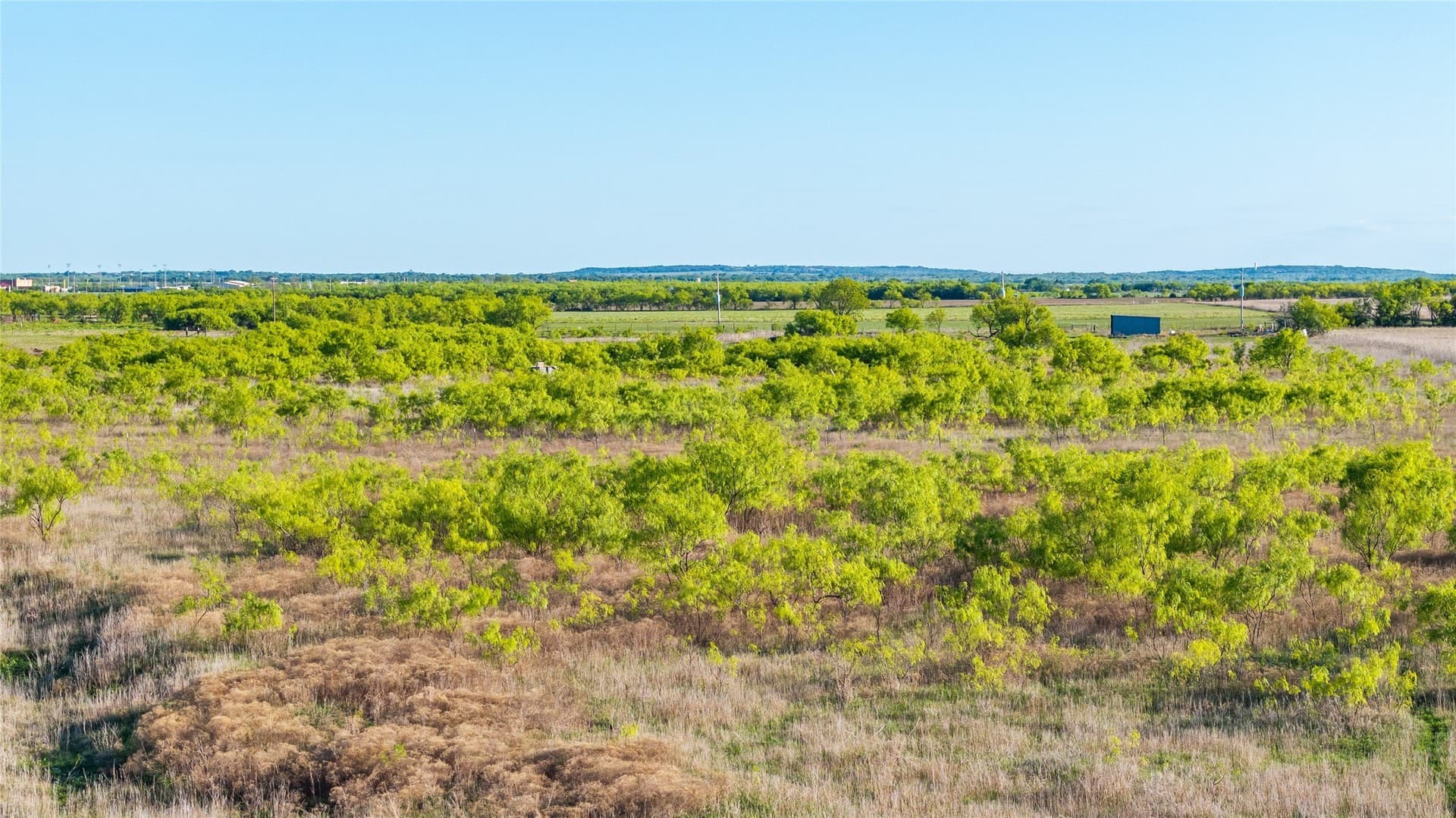 27 acres in Callahan County gallery image 2
