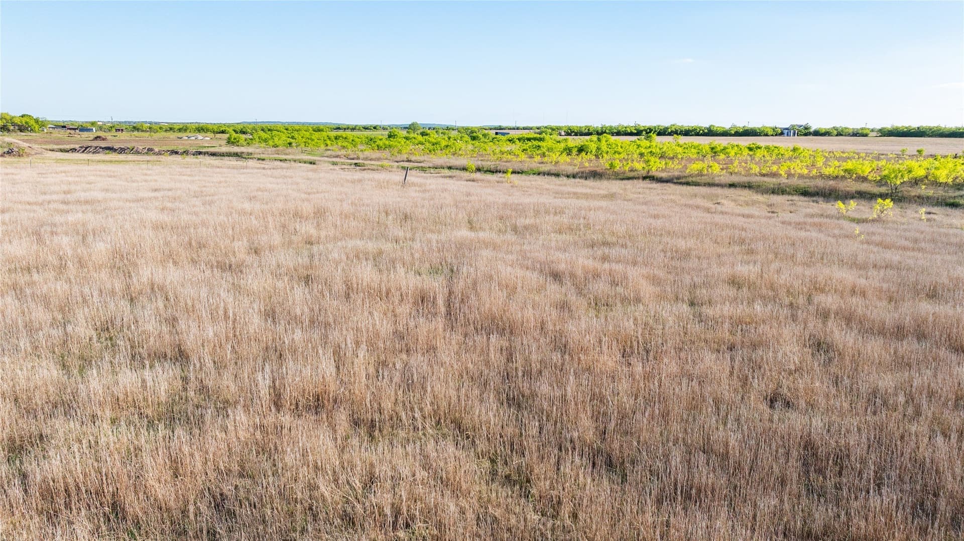 27 acres in Callahan County - photo 17