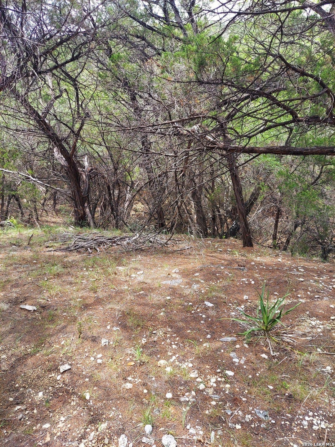 0.93 acres in Bandera County gallery image 3