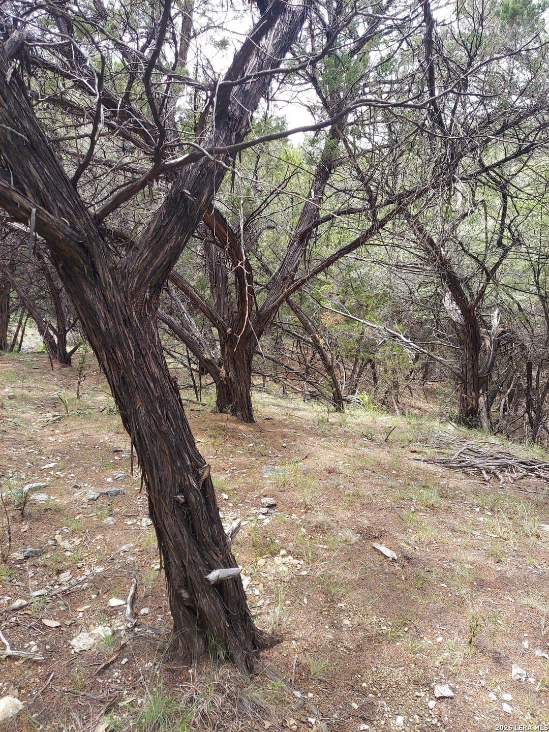 0.93 acres in Bandera County gallery image 2