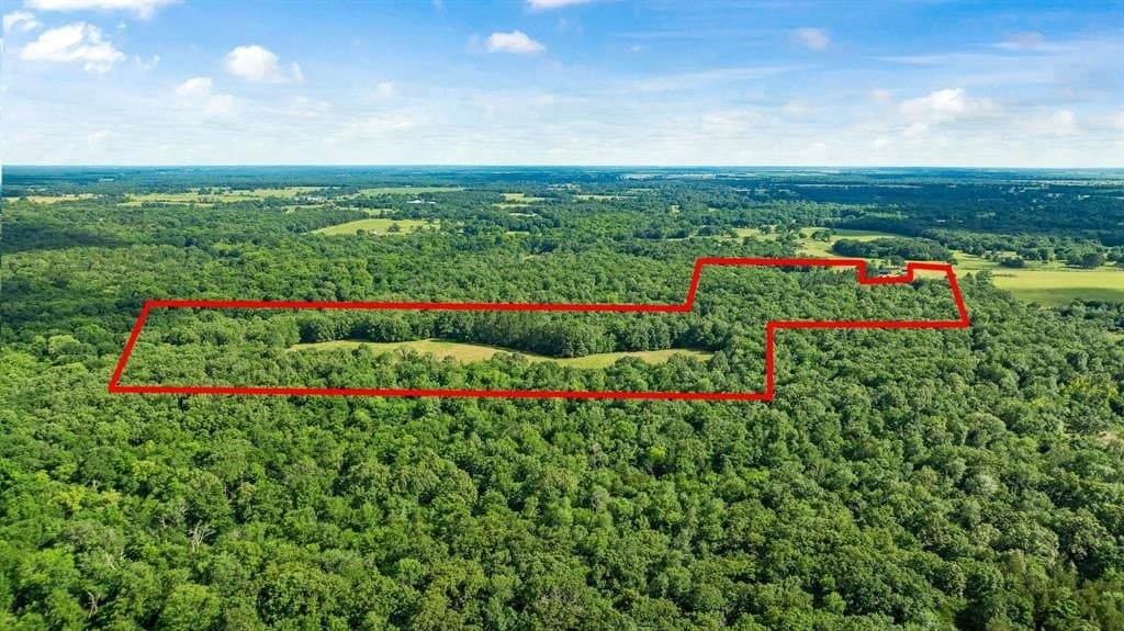 45.25 acres in Lamar County featured view
