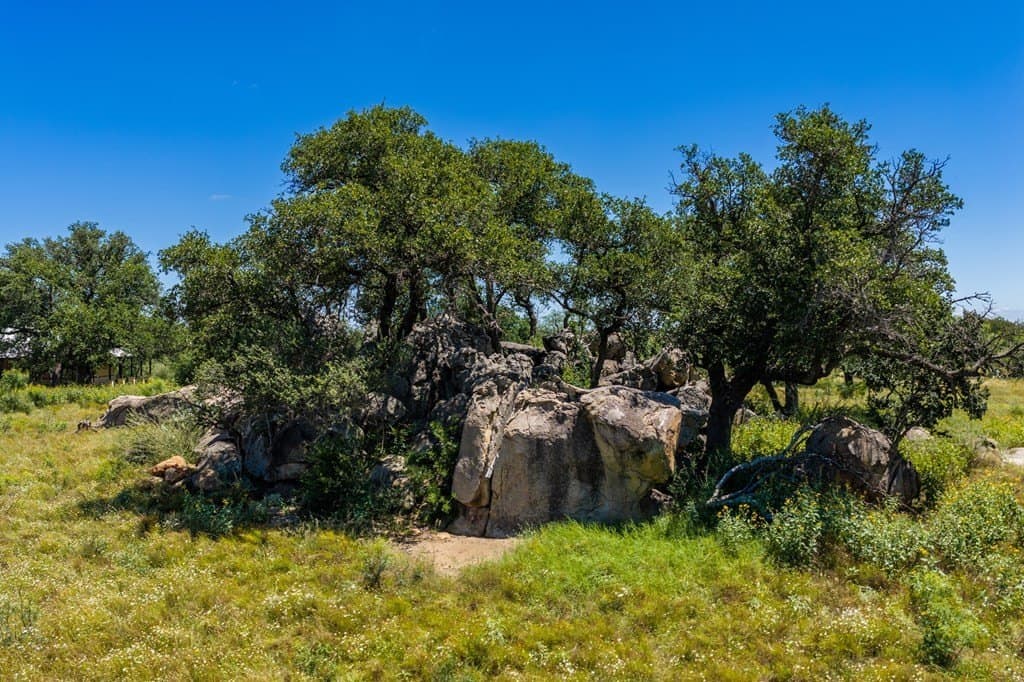 116 acres in Llano County - photo 37