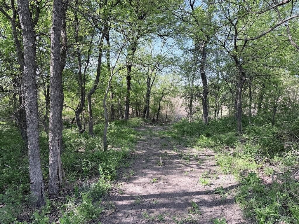 13.2 acres in Hill County featured view