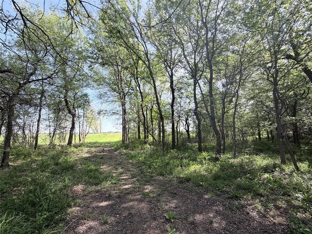 13.2 acres in Hill County gallery image 4