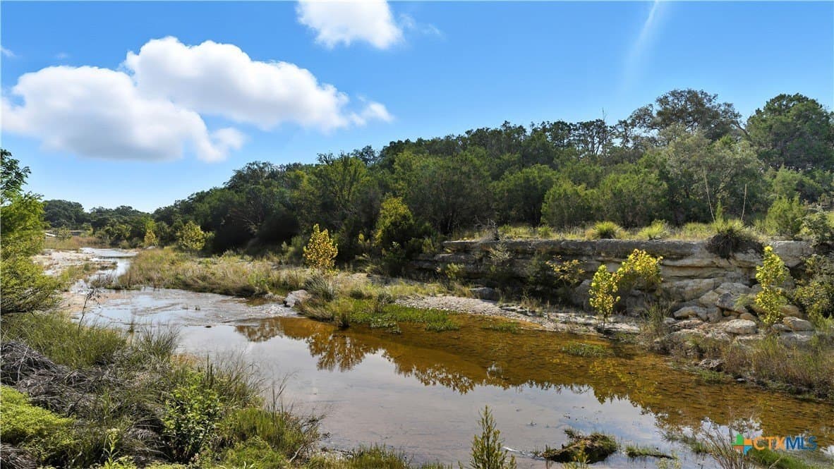 20.5 acres in Blanco County gallery image 3