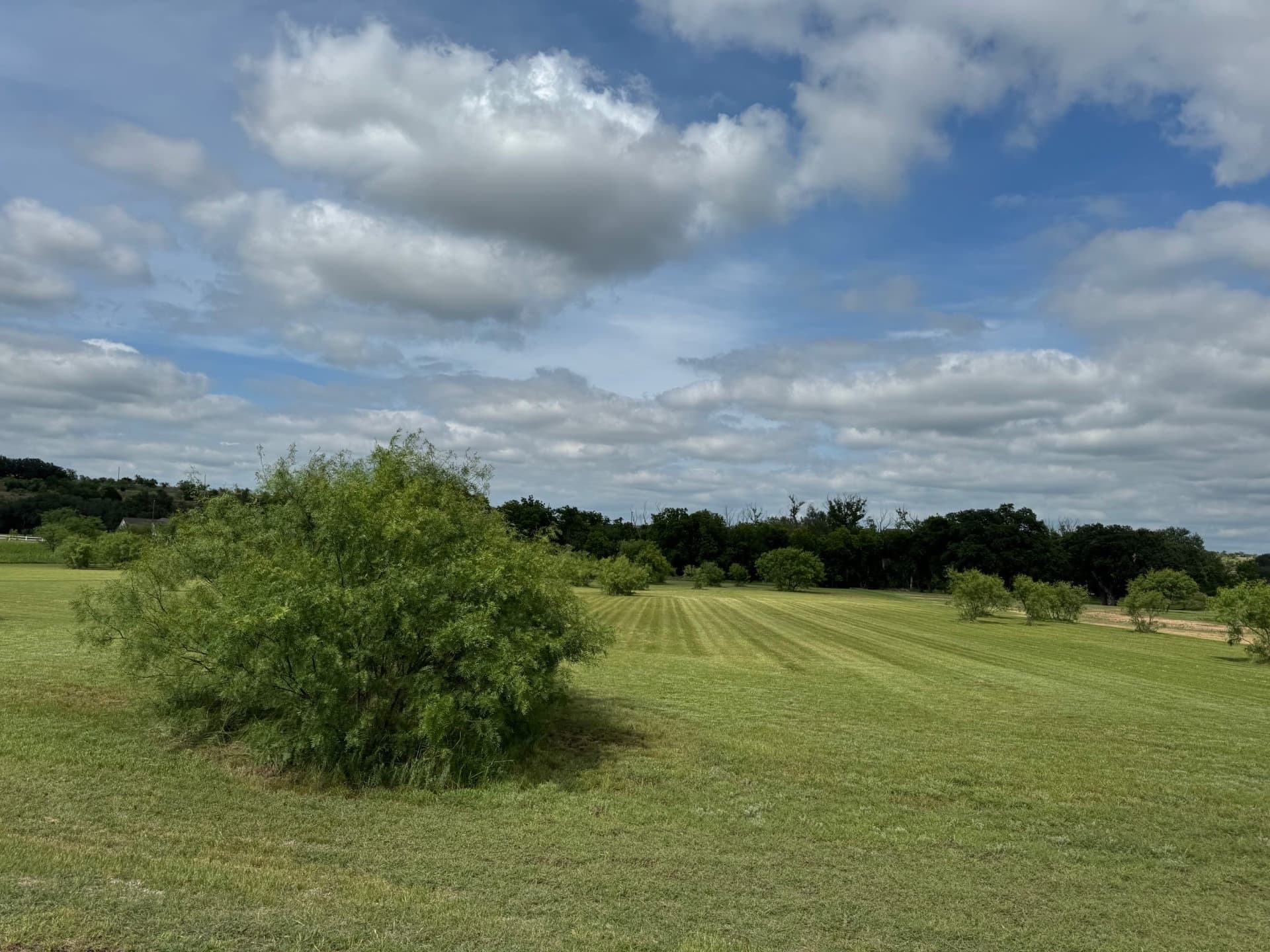 3.13 acres in Comanche County gallery image 3