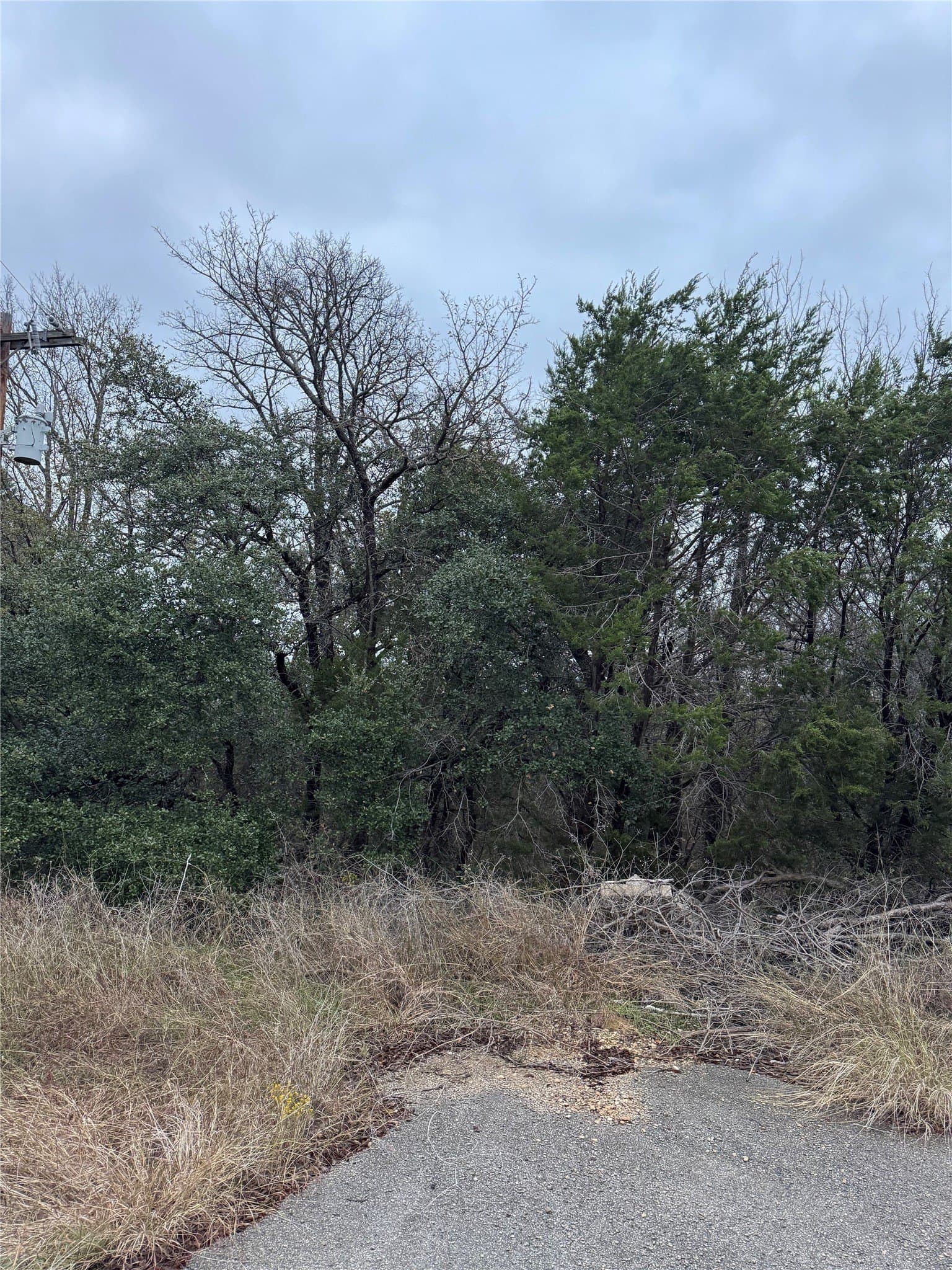0.24 acres in Hood County - photo 2