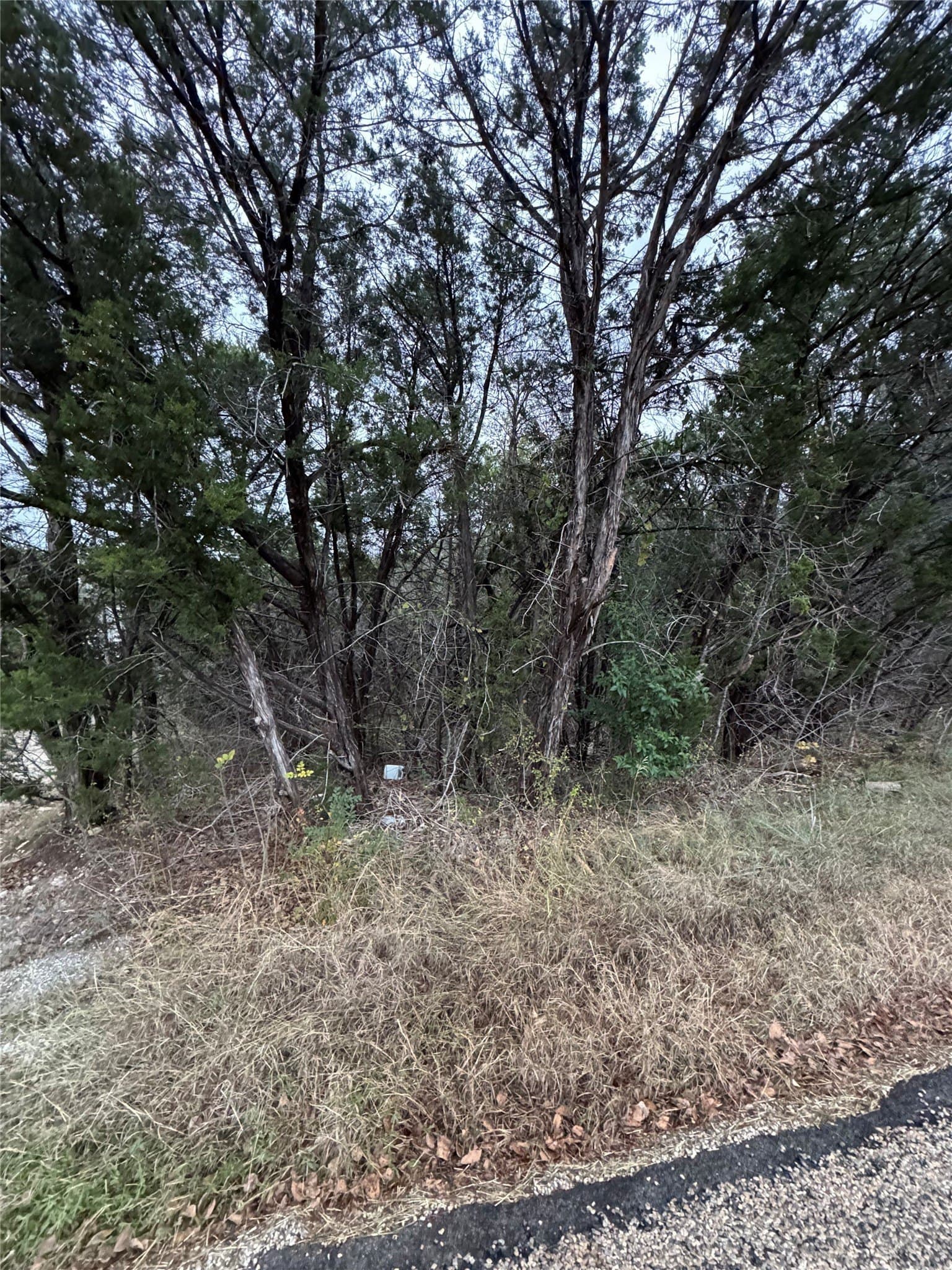0.24 acres in Hood County