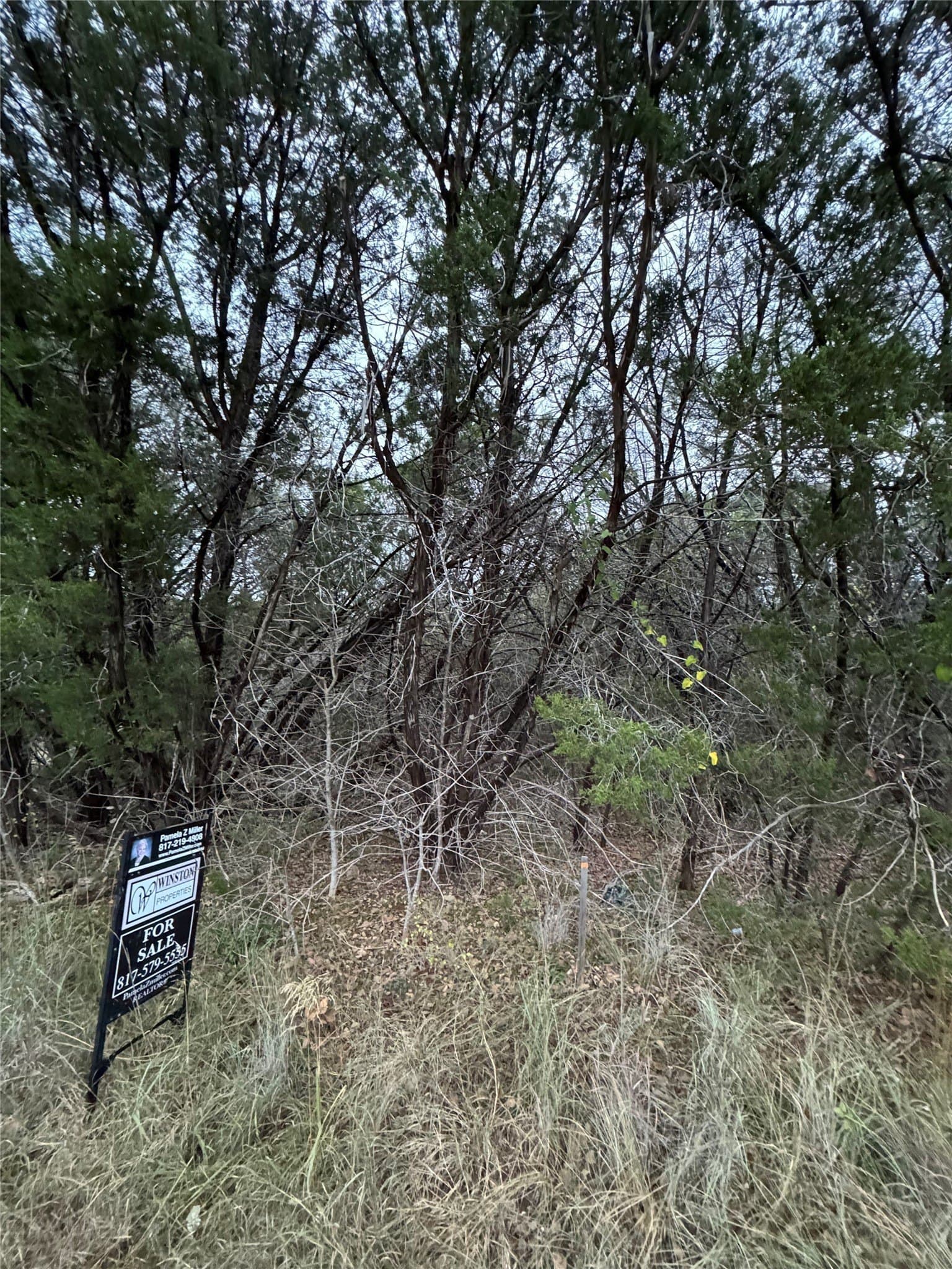 0.24 acres in Hood County - photo 4