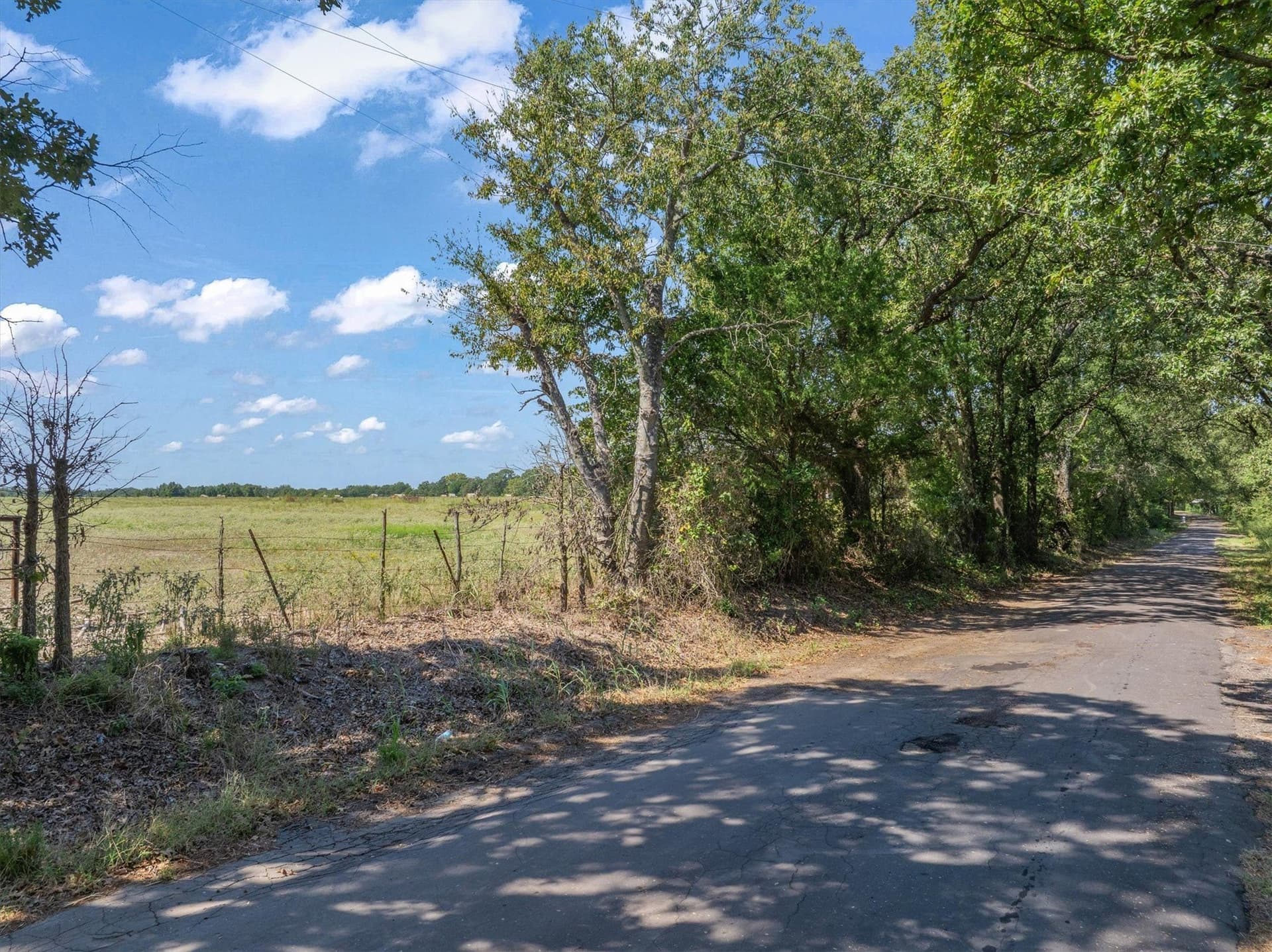 34 acres in Van Zandt County gallery image 2
