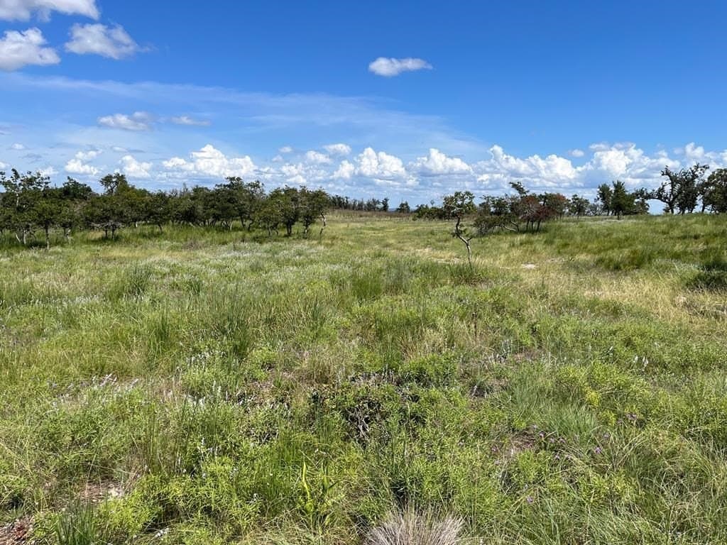 10.1 acres in Gillespie County featured view