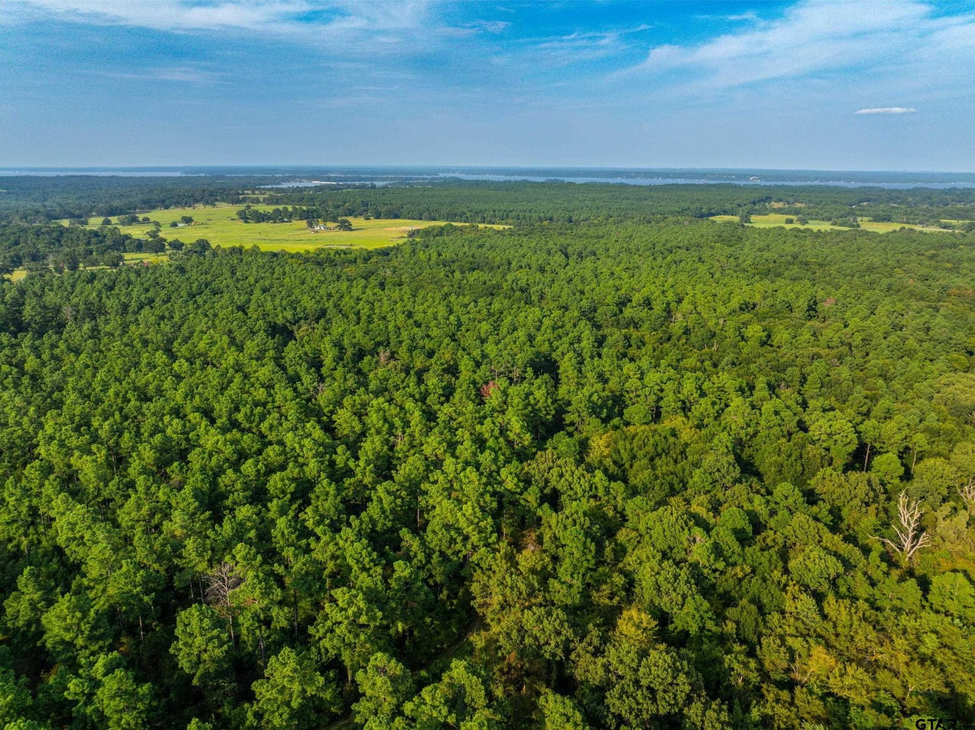 92 acres in Henderson County - photo 21