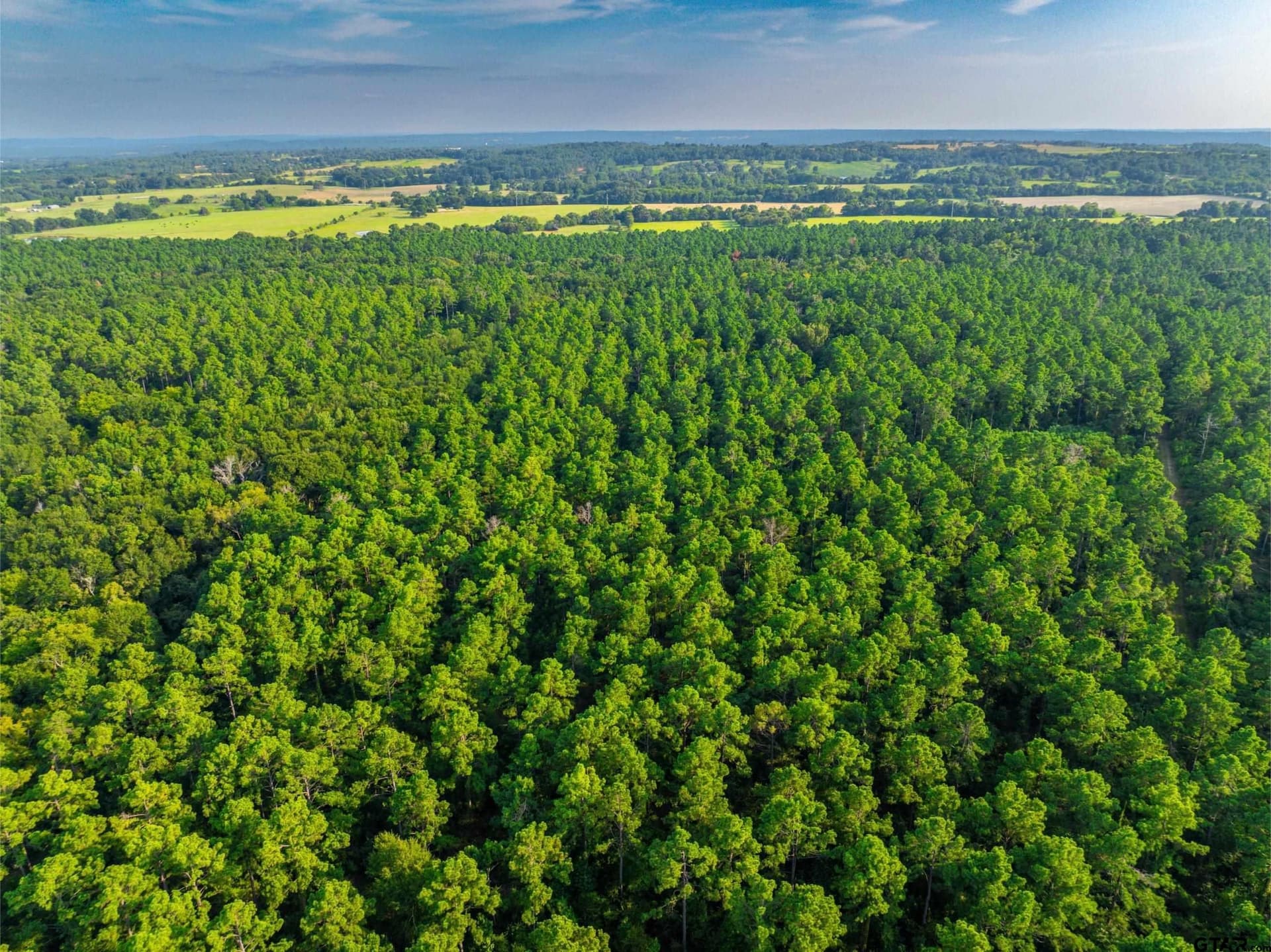92 acres in Henderson County - photo 17