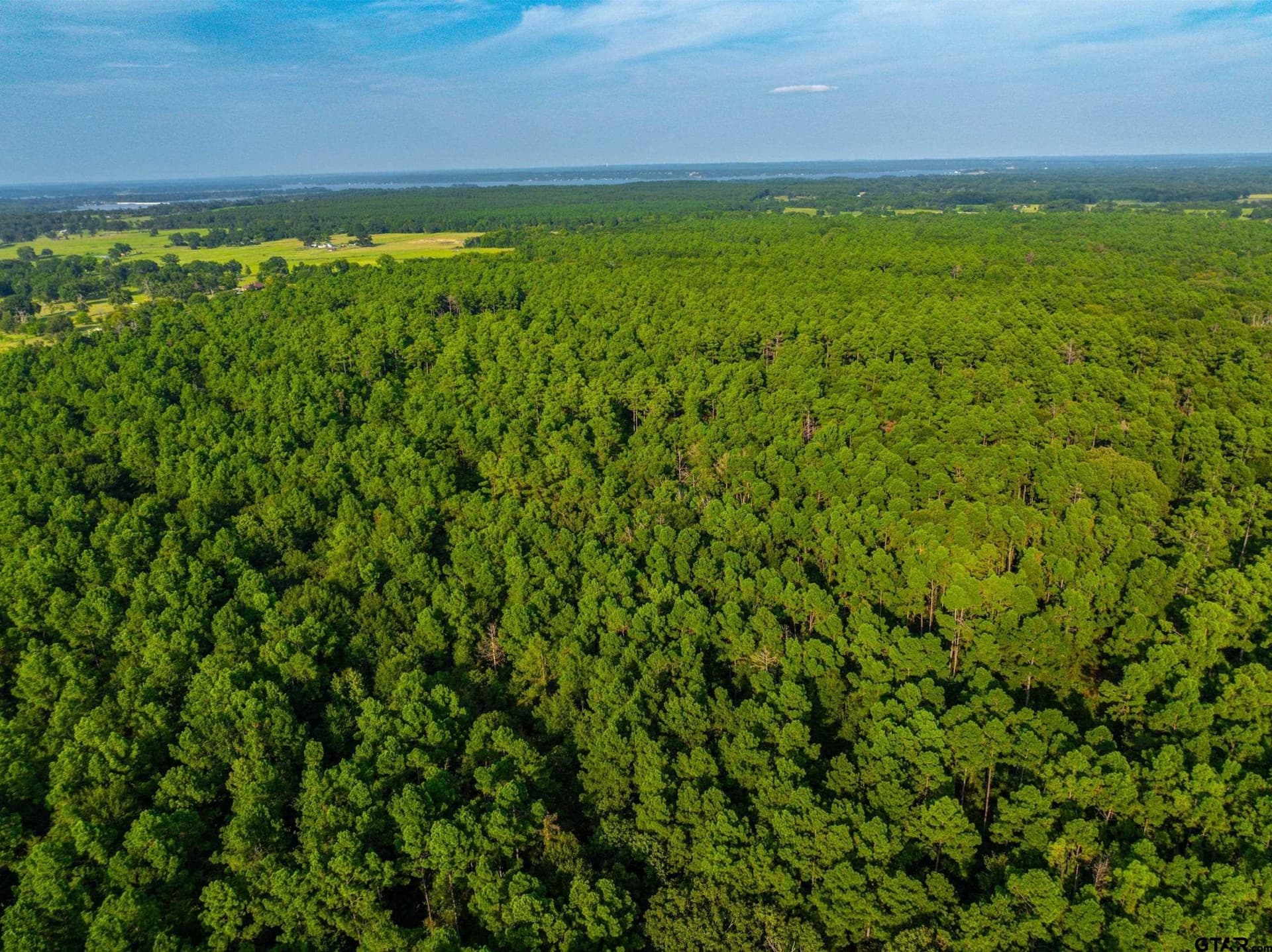 92 acres in Henderson County - photo 23
