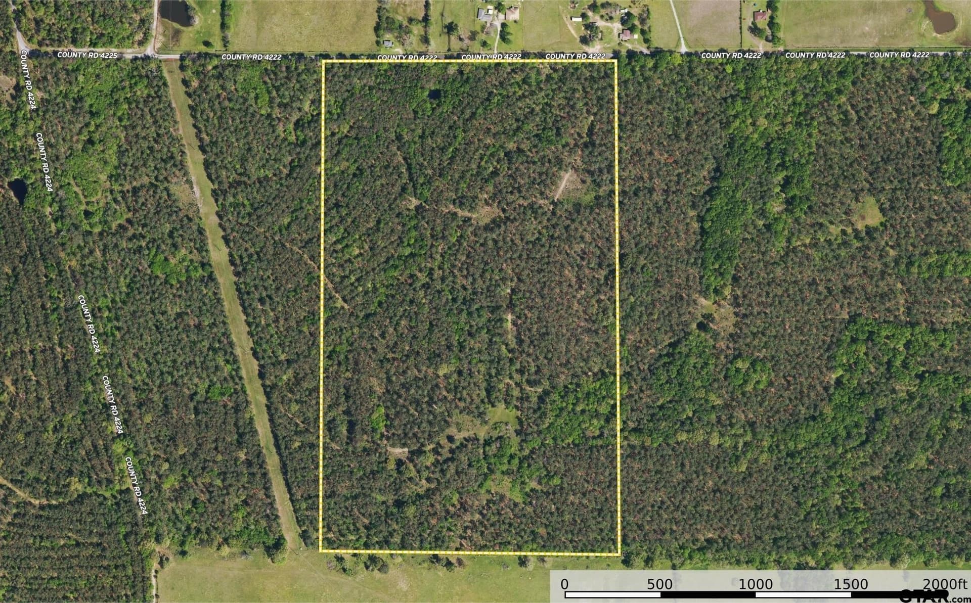 92 acres in Henderson County - photo 24