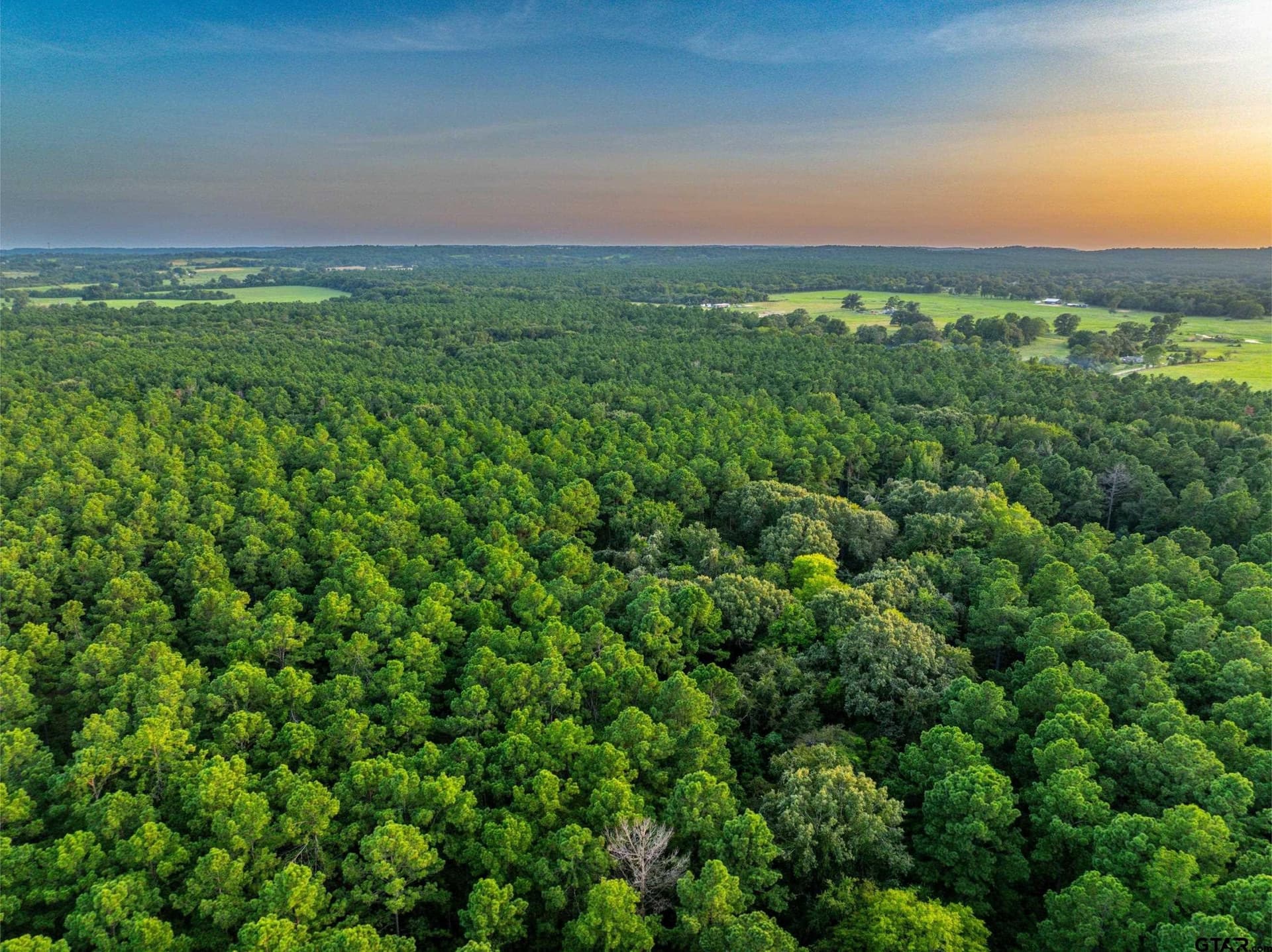 92 acres in Henderson County - photo 16