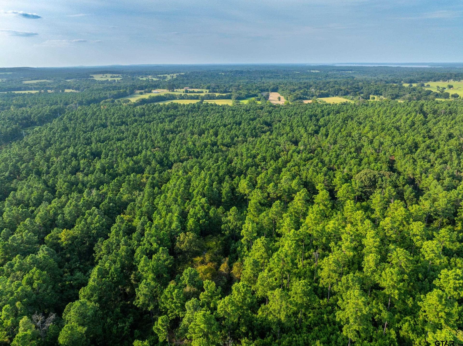 92 acres in Henderson County - photo 22