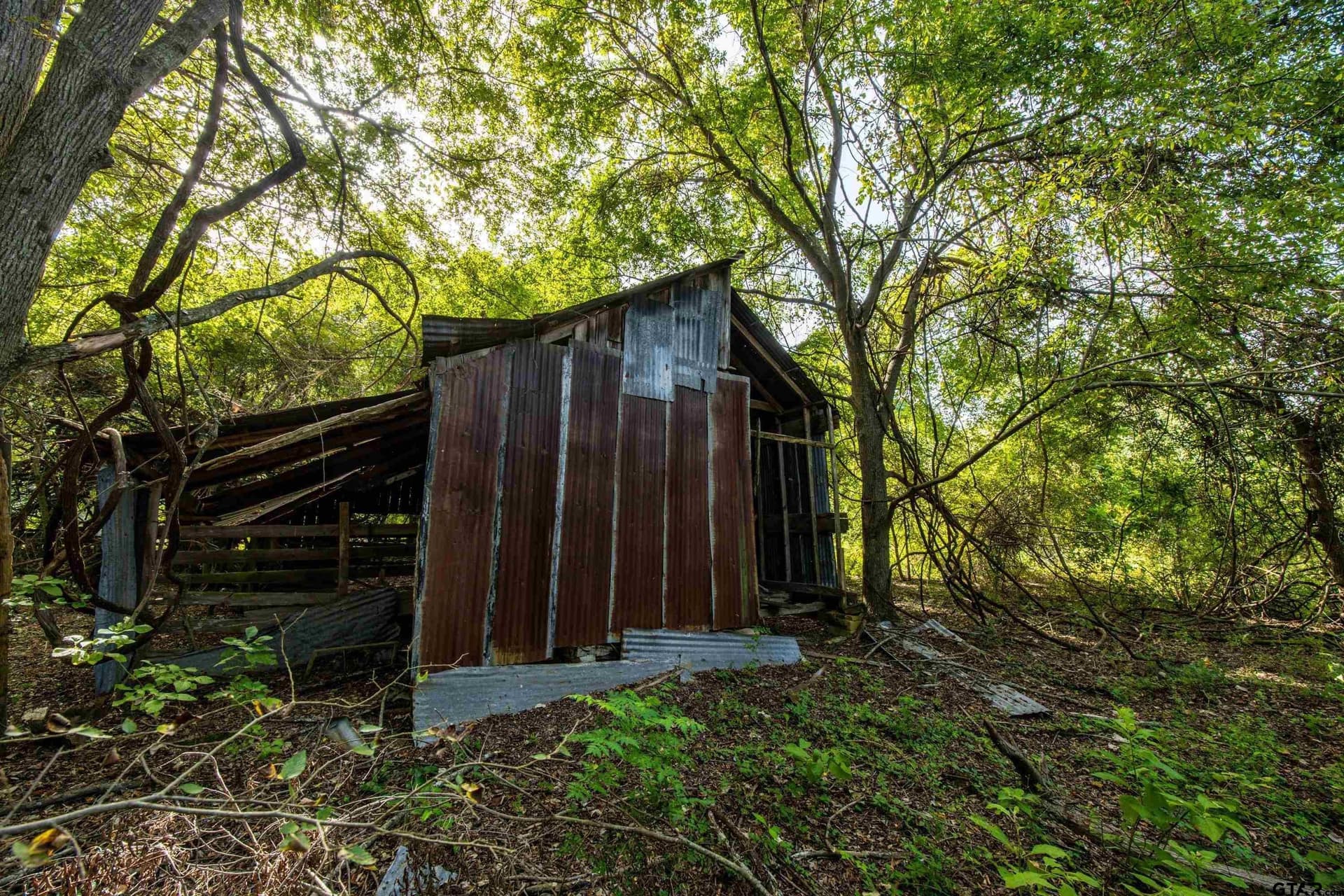 92 acres in Henderson County - photo 9
