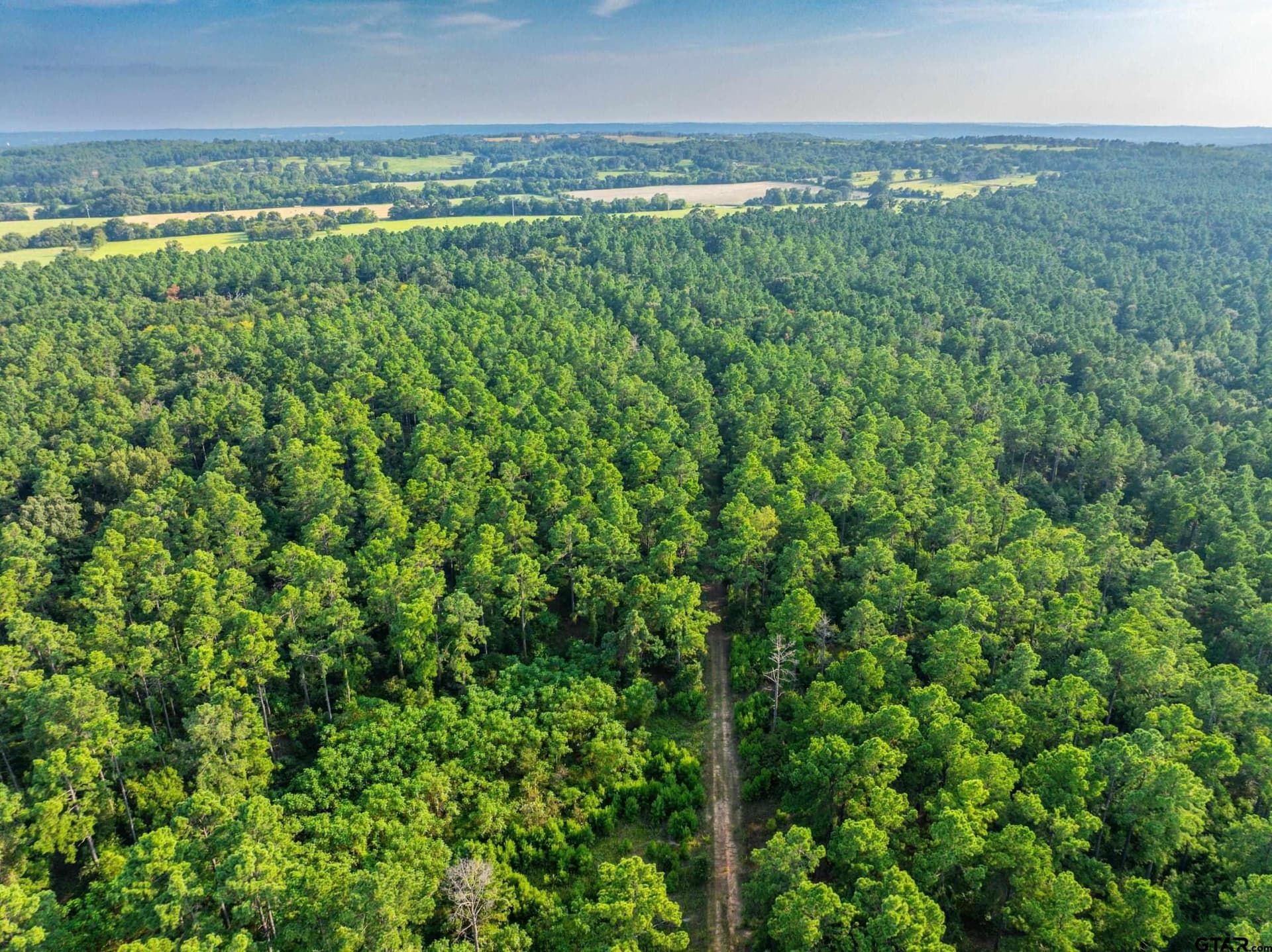 92 acres in Henderson County - photo 18