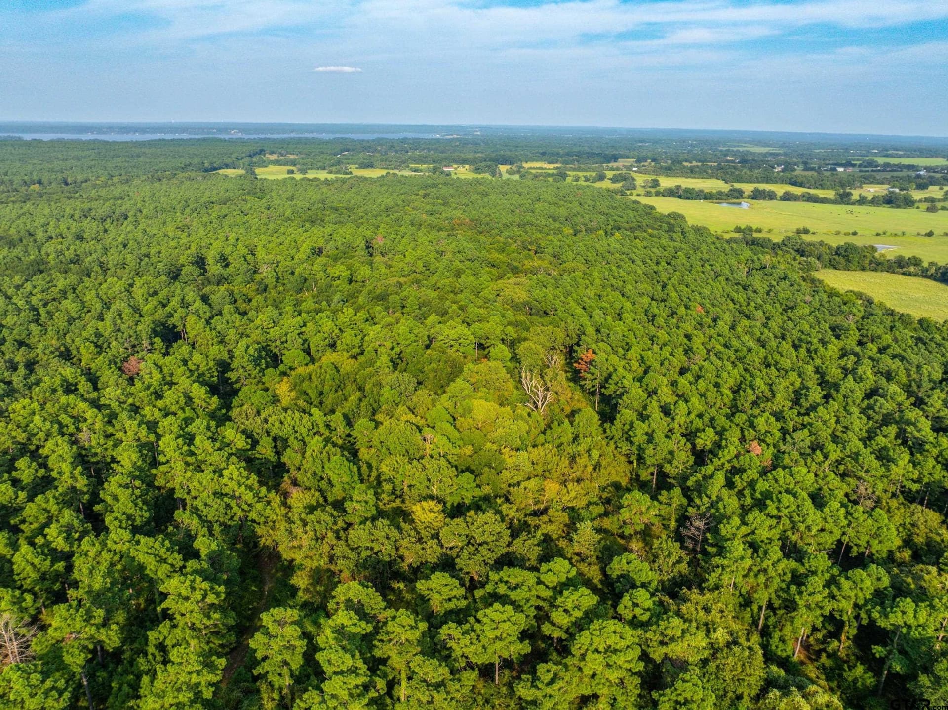 92 acres in Henderson County - photo 20