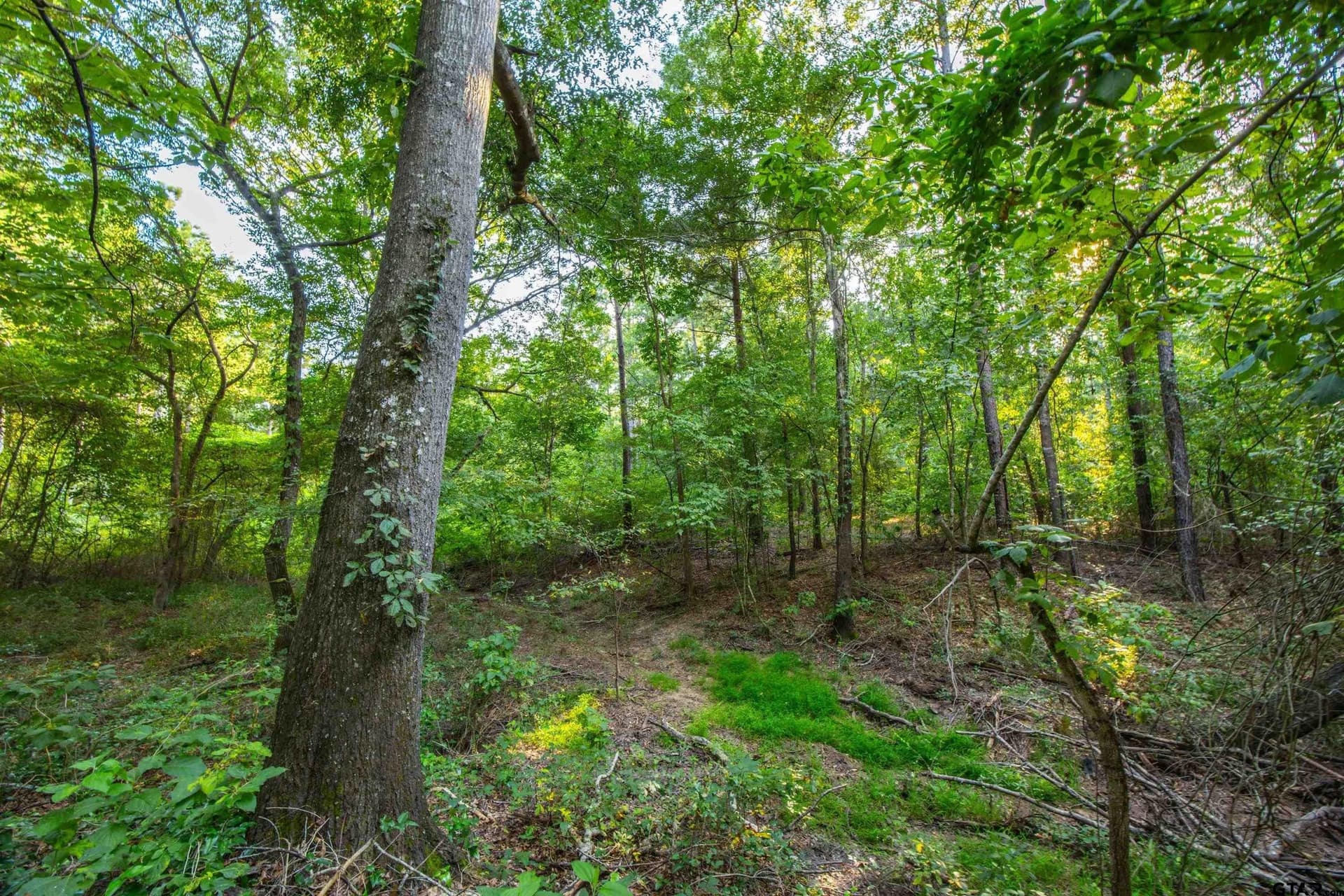 92 acres in Henderson County - photo 6