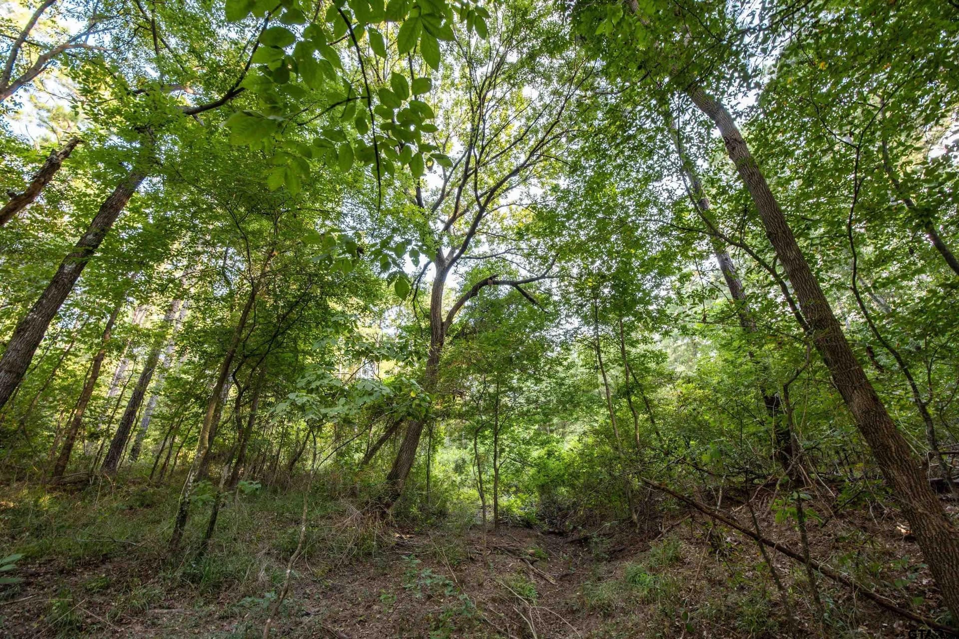 92 acres in Henderson County - photo 8
