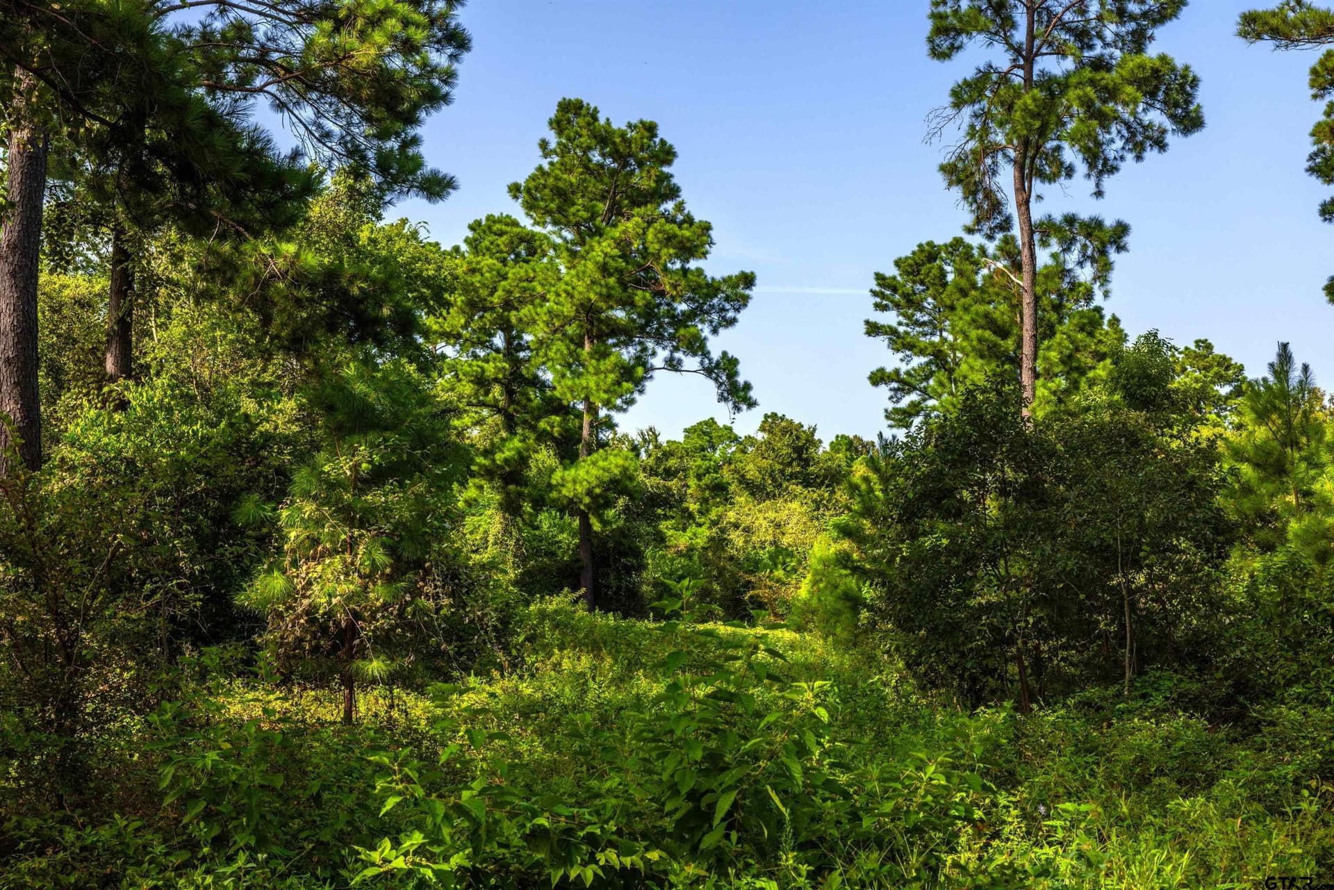 92 acres in Henderson County - photo 12