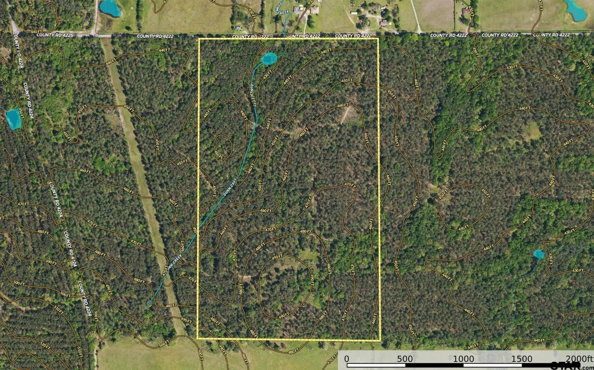 92 acres in Henderson County - photo 25